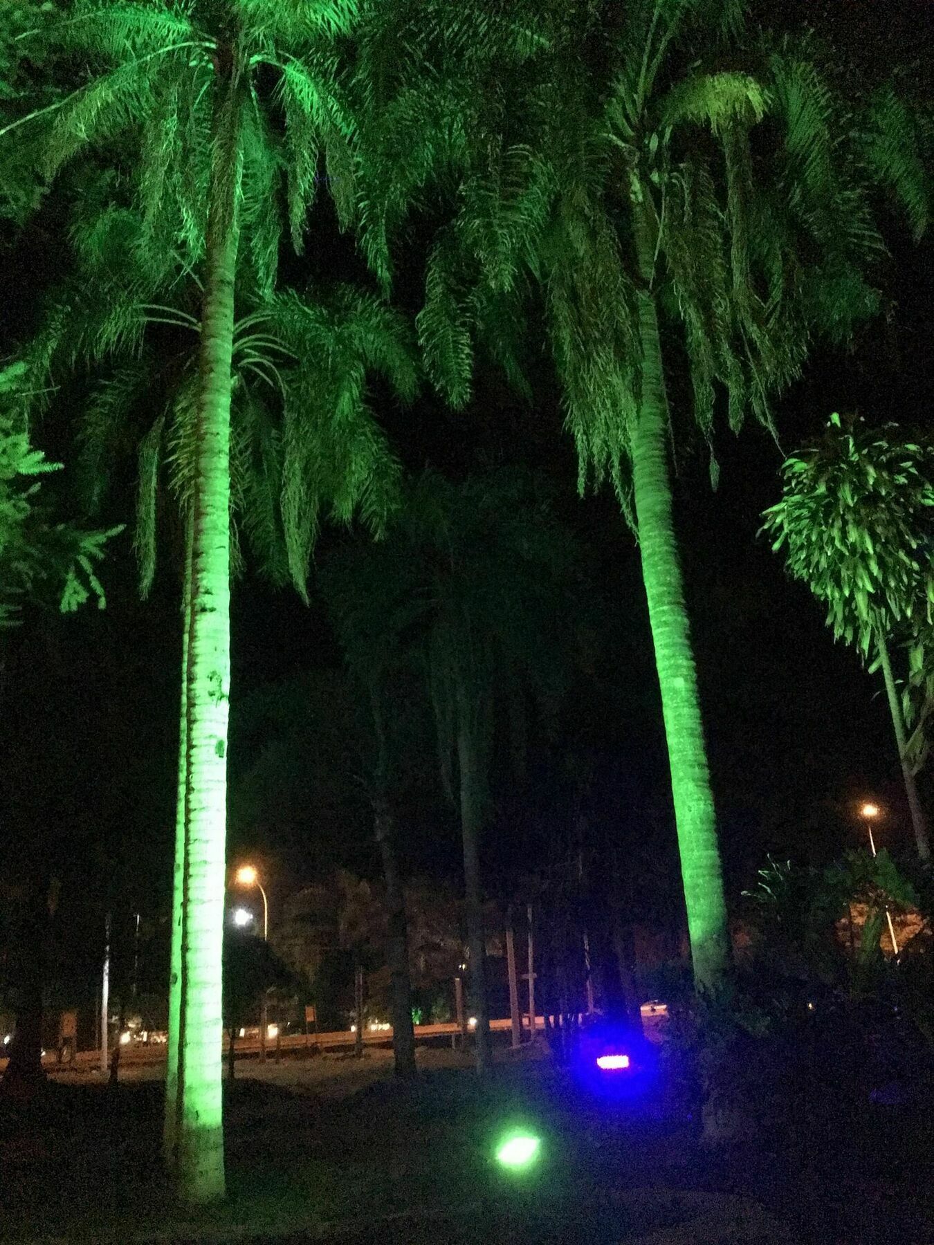 Tangoinn Club Iguazu Party Luxury Hostel Пуерто Игуасу Екстериор снимка